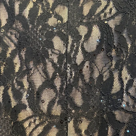 DressBarn Collection Elegant Black Lace Evening Dress - Picture 14 of 14